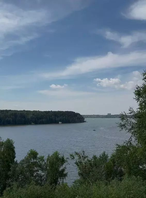 Участок в Новосибирская область, Бердск ул. Пихтовая (10.0 сот.) - Фото 1