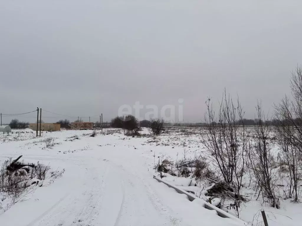 Участок в Архангельская область, Архангельск Нижняя Повракула мкр, ул. ... - Фото 0