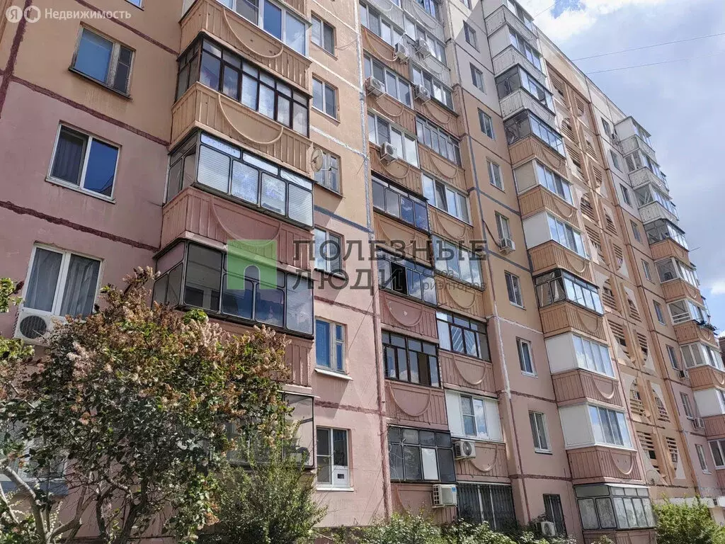 1-комнатная квартира: Белгород, улица Будённого, 14 (34 м) - Фото 1