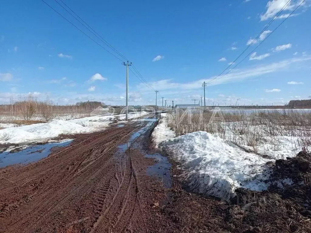 Участок в Тюменская область, Тюменский муниципальный округ, ... - Фото 2