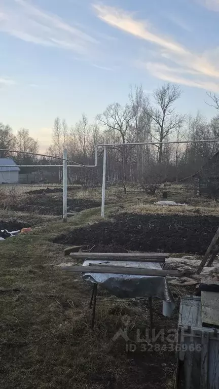 Дом в Новгородская область, Старая Русса ул. Крестецкая, 114 (62 м) - Фото 2