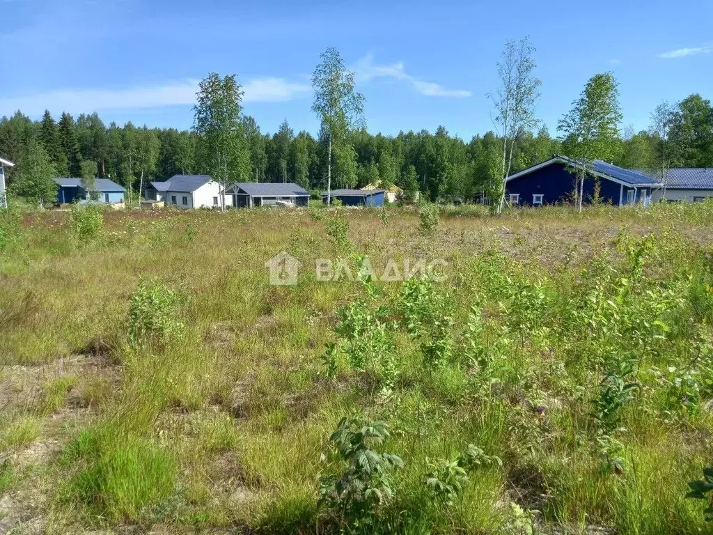 Участок в Карелия, Прионежский район, с. Заозерье ул. Аквамариновая ... - Фото 1