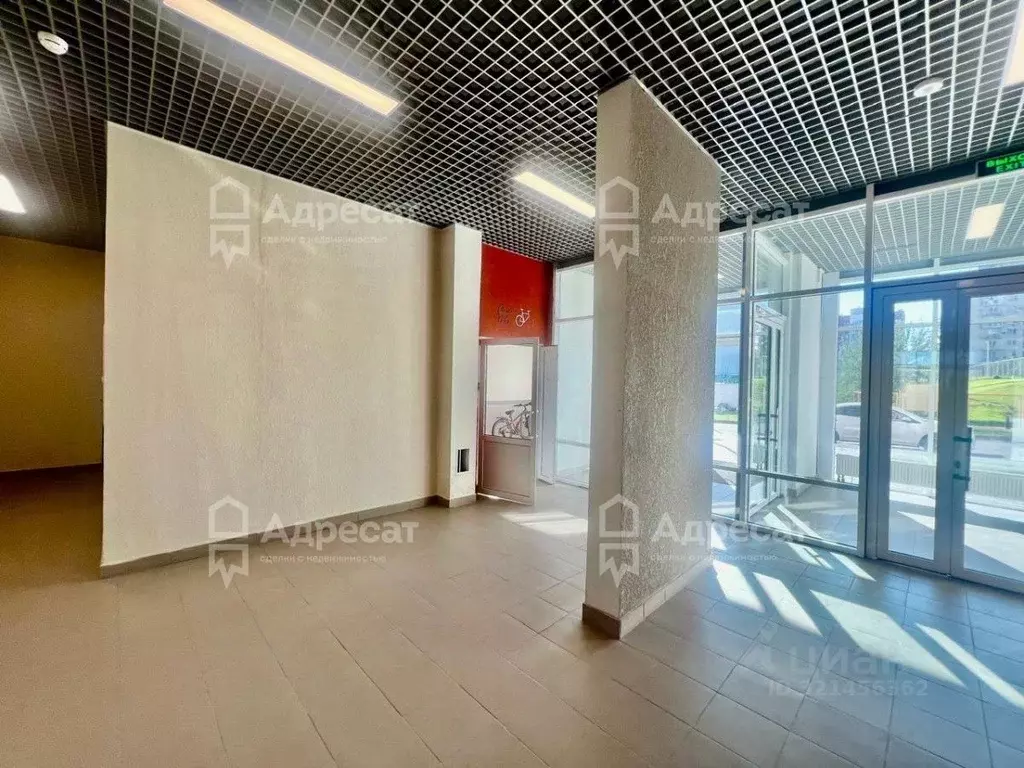 1-к кв. Волгоградская область, Волгоград Родниковая ул., 66 (36.4 м) - Фото 2