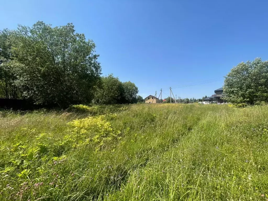 Участок в Московская область, Сергиево-Посадский городской округ, с. ... - Фото 0