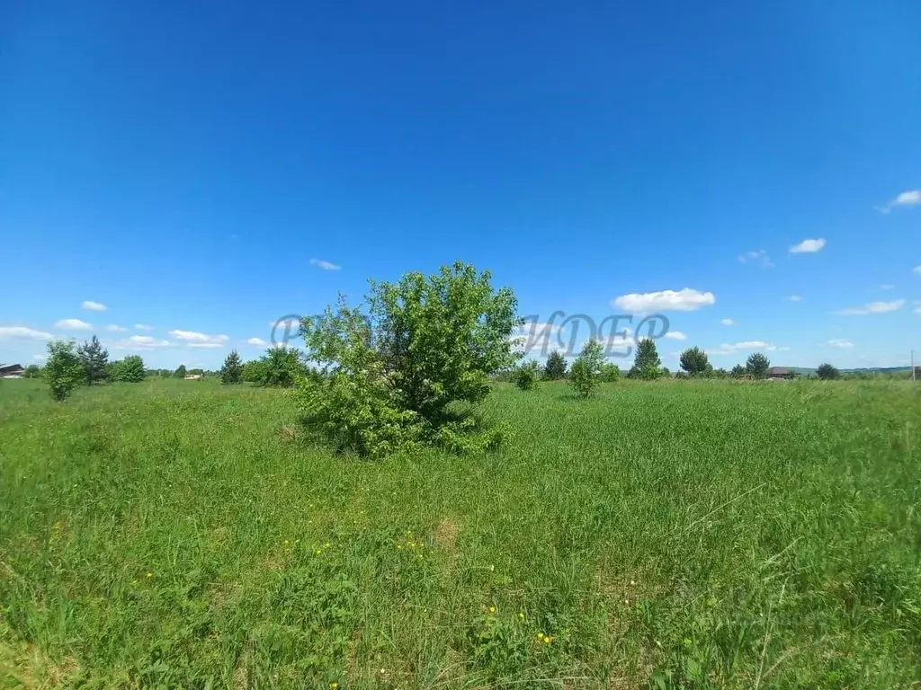 Участок в Алтай, Майминский район, с. Подгорное ул. Спортивная, 61 ... - Фото 2