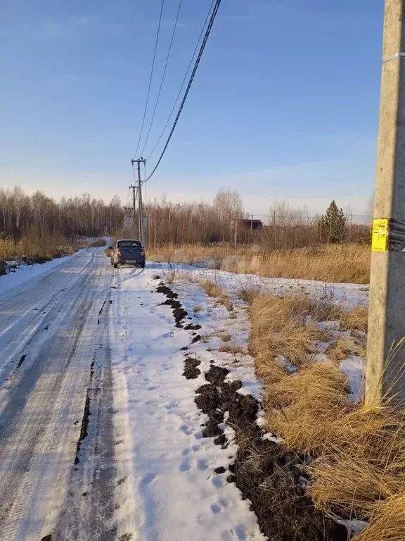 Участок в Курганская область, Шадринск ул. Коурова (10.0 сот.) - Фото 1