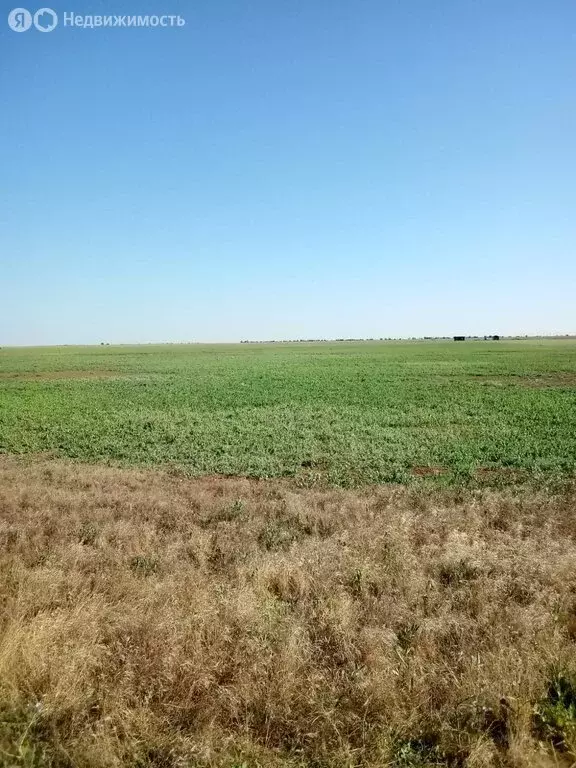 Участок в Сакский район, село Уютное (60 м) - Фото 0