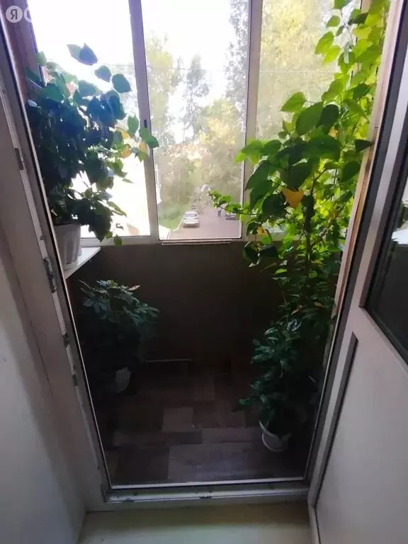 1-комнатная квартира: Красноярск, Шелковая улица, 7 (40 м) - Фото 2