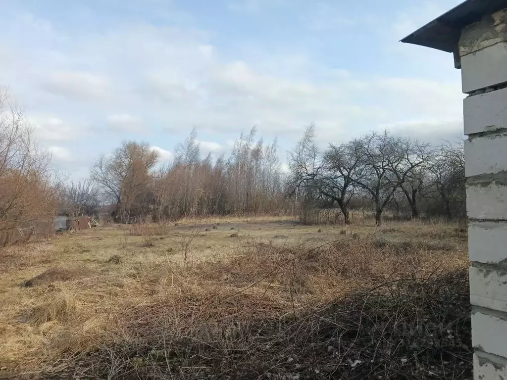 Дом в Липецкая область, Краснинский район, Дрезгаловский сельсовет, с. ... - Фото 1