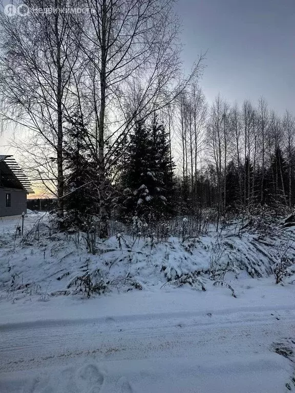 Участок в Завьяловский район, деревня Крестовоздвиженское, Пряничная ... - Фото 2