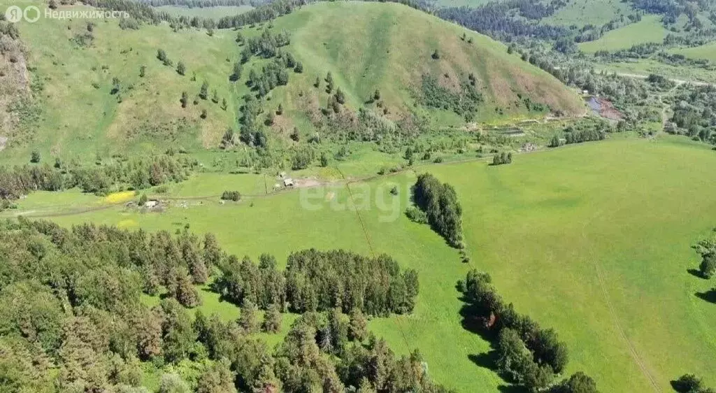 Участок в Майминский район, село Бирюля (250.8 м) - Фото 1