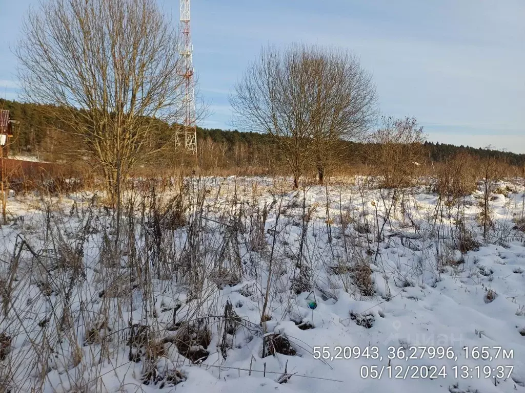 Участок в Московская область, Наро-Фоминский городской округ, д. ... - Фото 1