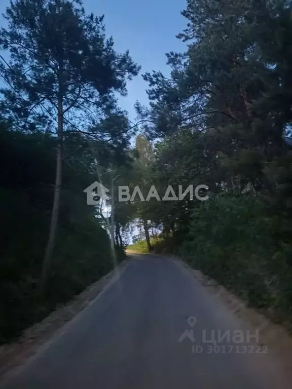 Участок в Воронежская область, Рамонский район, с. Ямное ул. Ленина, ... - Фото 1