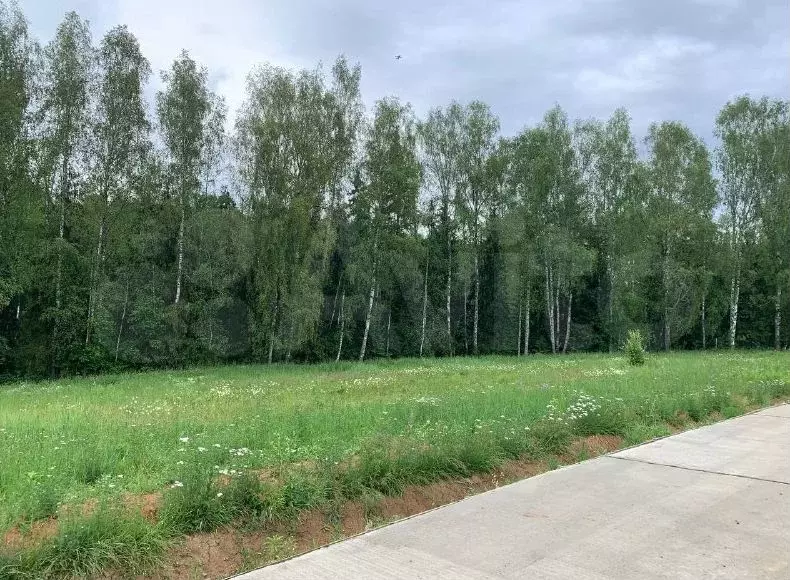 Участок 9,7 сот. (ИЖС) - Фото 1