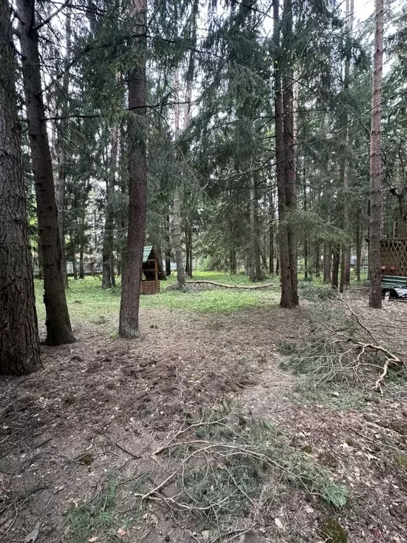 Участок в Московская область, Наро-Фоминский городской округ, д. ... - Фото 2