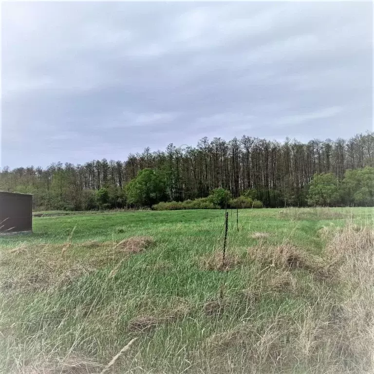 Участок в Белгородская область, Старооскольский городской округ, с. ... - Фото 0