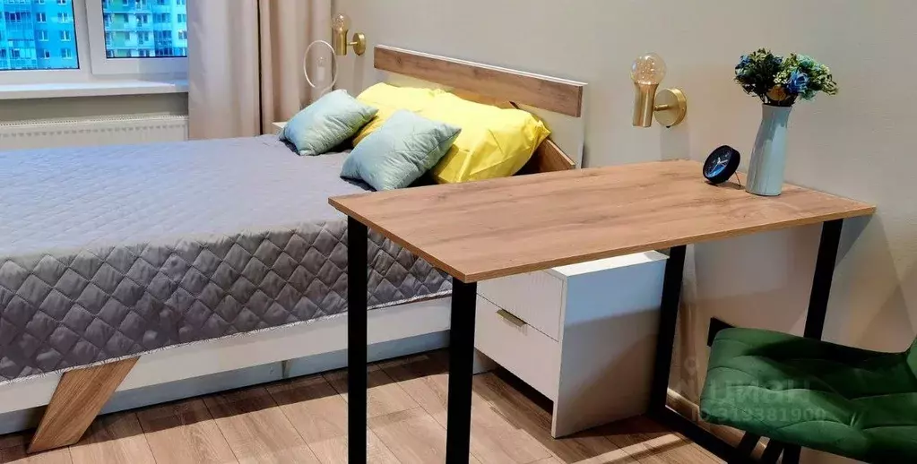 Студия Санкт-Петербург просп. Энергетиков, 8к2 (24.0 м) - Фото 0