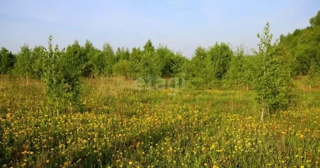 Участок в Псковская область, Печорский муниципальный округ, д. ... - Фото 0