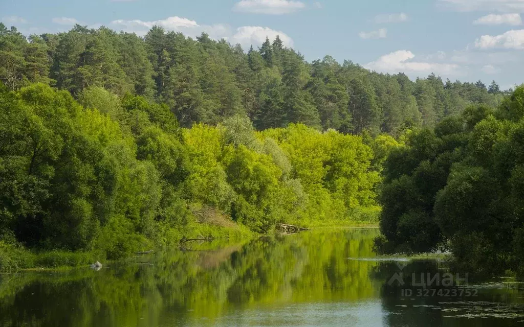 Участок в Московская область, Ступино городской округ, с. Починки  ... - Фото 2