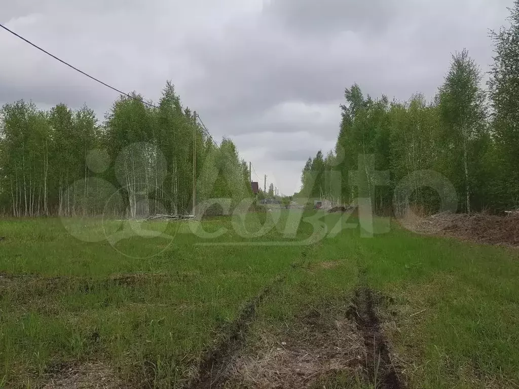 Участок 9,9 сот. (СНТ, ДНП) - Фото 1