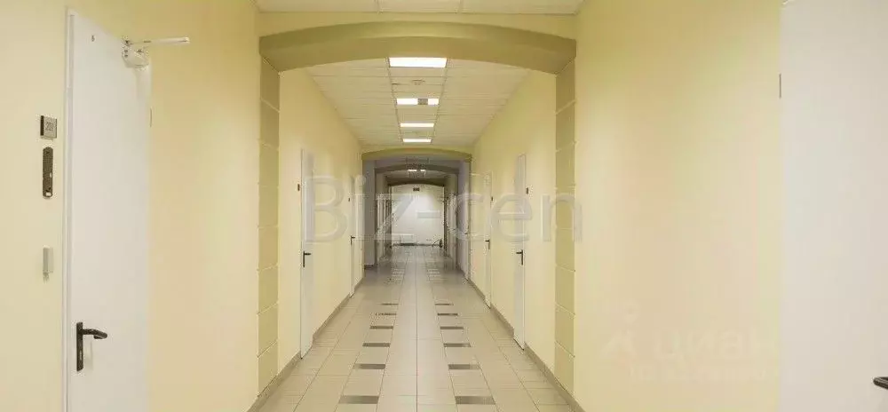 Офис в Санкт-Петербург ул. Чапаева, 5 (129 м) - Фото 0