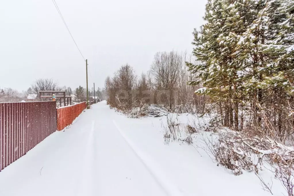 Участок в Тюменская область, Тюменский муниципальный округ, Нива СНТ ... - Фото 1