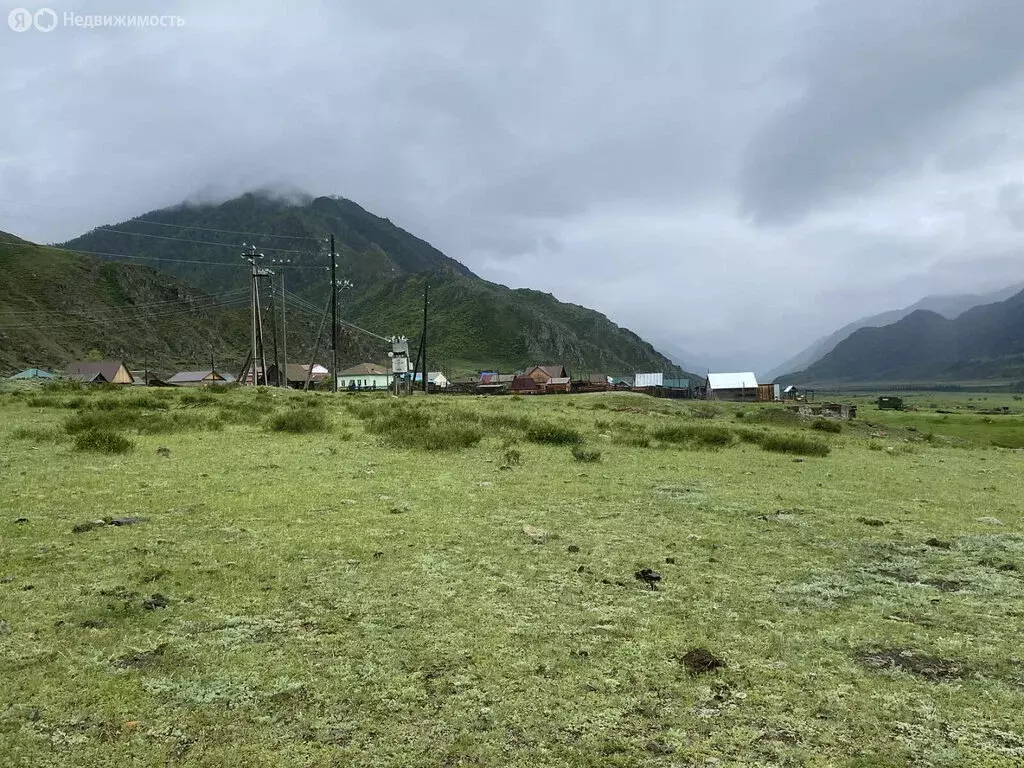 Участок в Чемальский район, село Куюс (10.5 м) - Фото 1