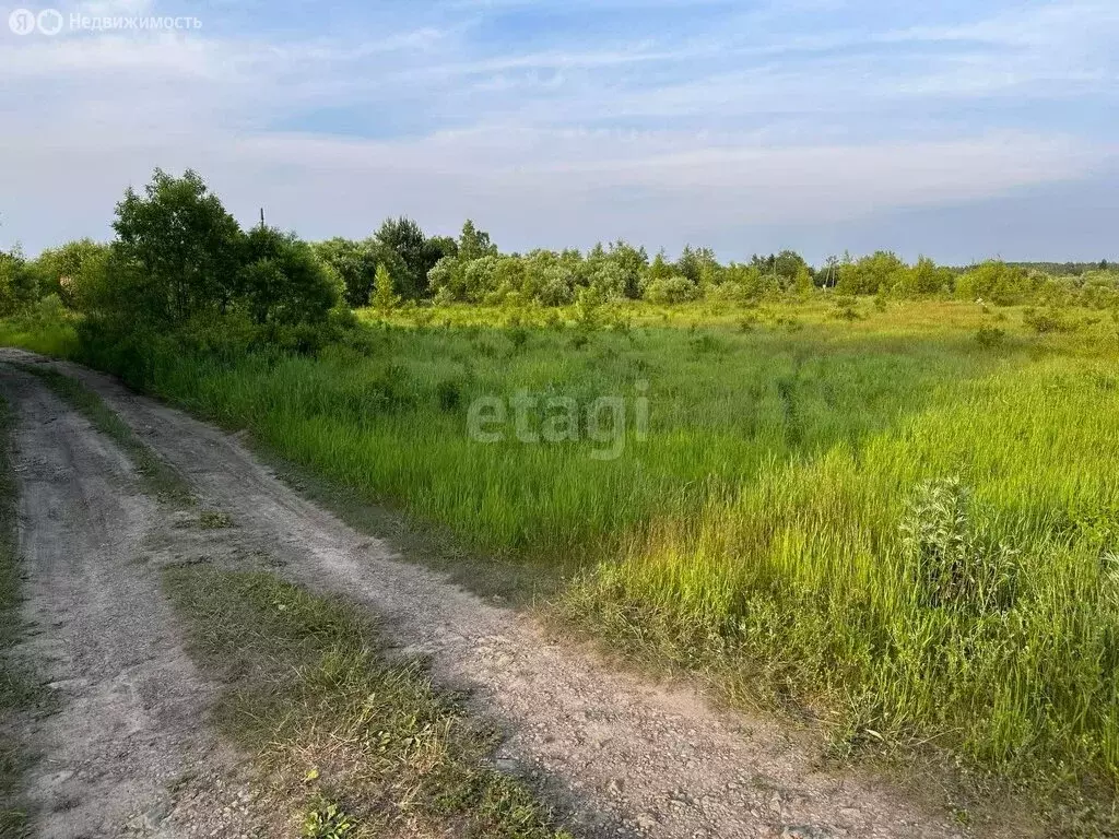 Участок в Хабаровский район, село Мирное (15 м) - Фото 0