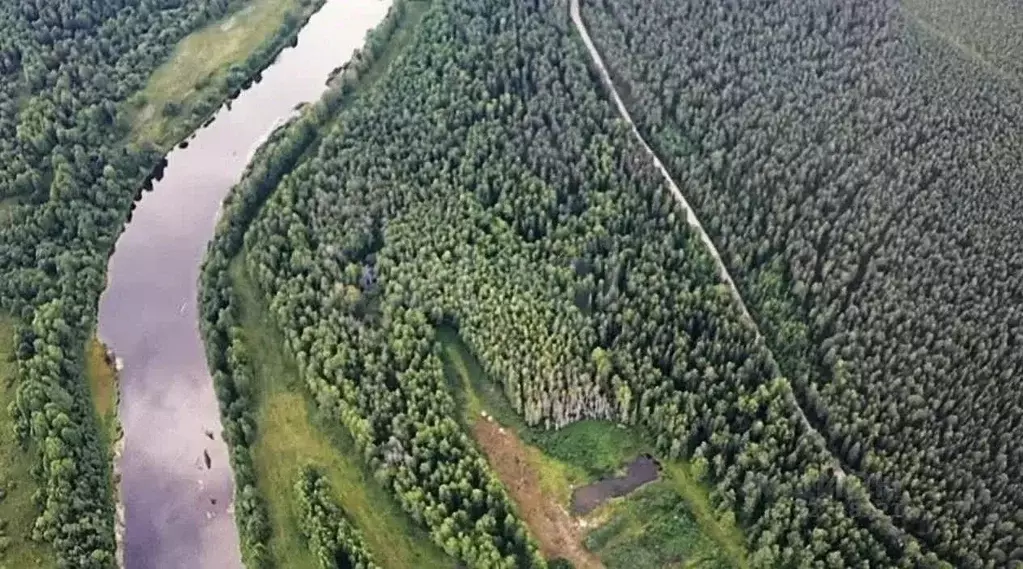 Участок в Архангельская область, Устьянский муниципальный округ, ... - Фото 2