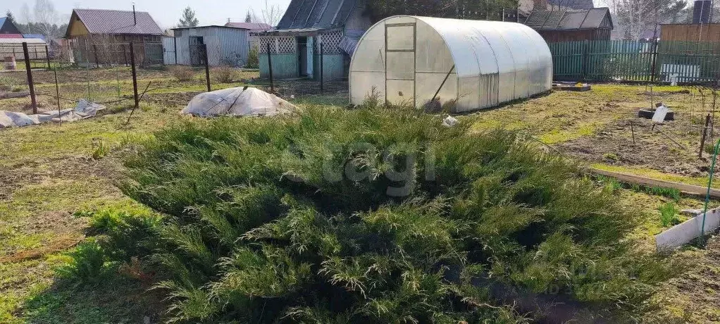 Участок в Новосибирская область, Тогучинский район, Заринка СТ ул. ... - Фото 0