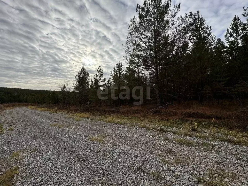 Участок в Свердловская область, Талица ул. Луначарского (11.0 сот.) - Фото 0