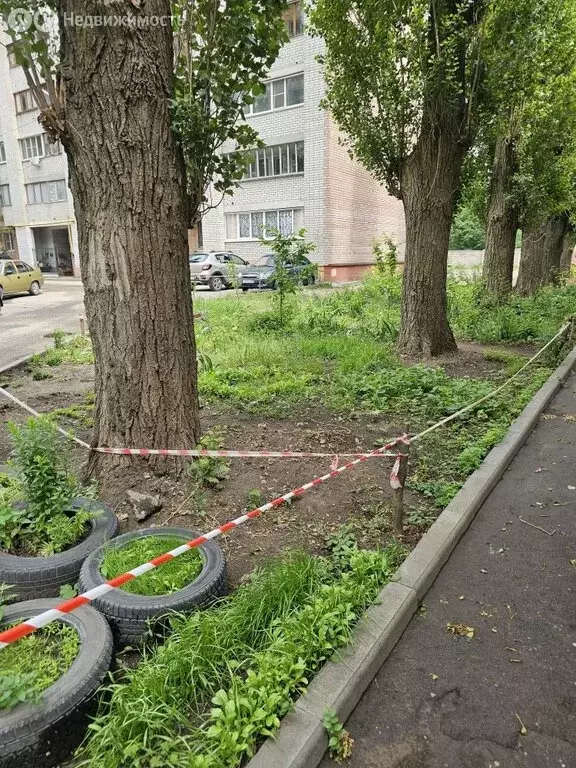 1-комнатная квартира: Воронеж, Московский проспект, 76 (30.1 м) - Фото 0
