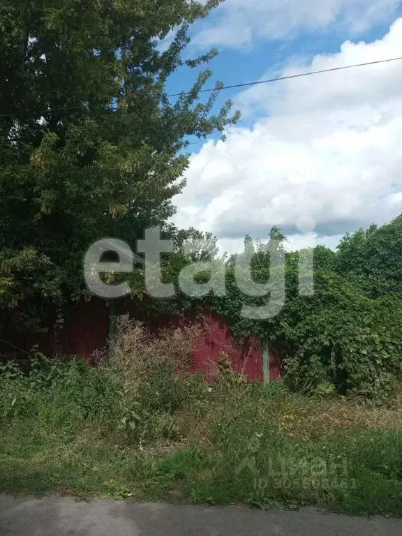 Участок в Белгородская область, Алексеевка пер. 9 Января (5.0 сот.) - Фото 1