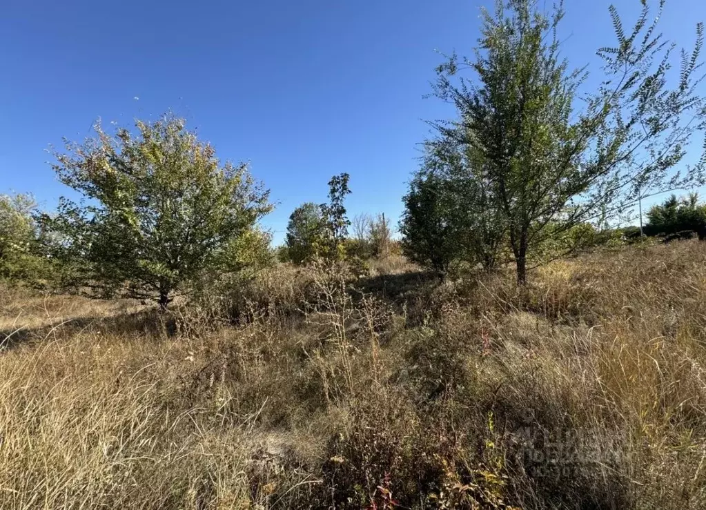 Участок в Саратовская область, с. Александровка ул. Центральная (8.0 ... - Фото 2