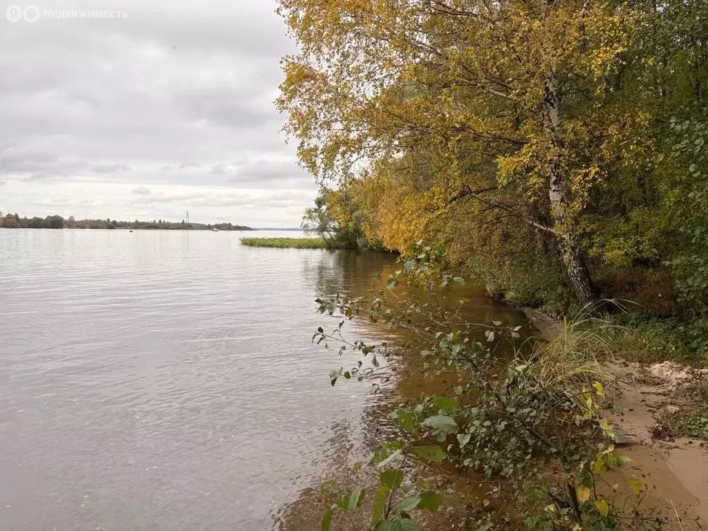 Участок в Тверская область, Кимрский муниципальный округ, деревня ... - Фото 2
