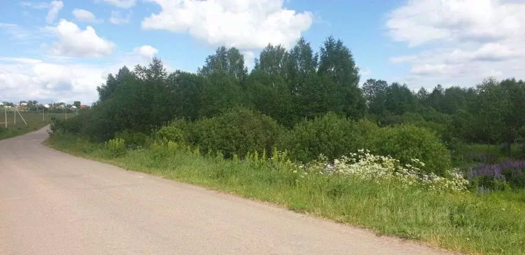 Участок в Нижегородская область, Богородский муниципальный округ, д. ... - Фото 0