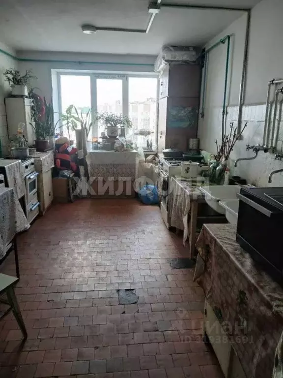 Комната Белгородская область, Белгород ул. Горького, 69к1 - Фото 1