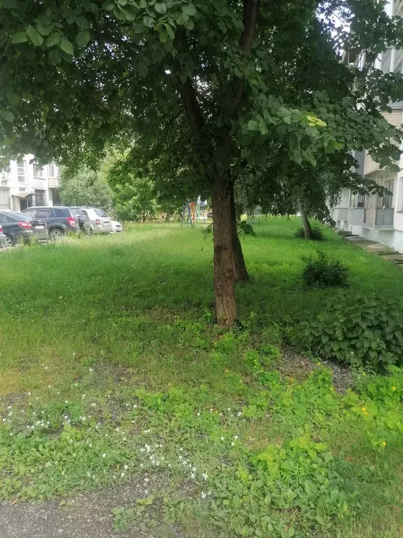 Продаётся 1-к квартира, 32 м - Фото 1