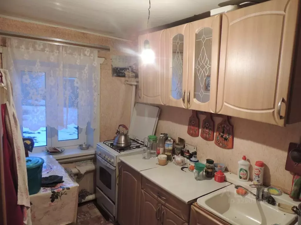 Дом в Нижегородская область, Арзамас городской округ, с. Казаково  (38 ... - Фото 1