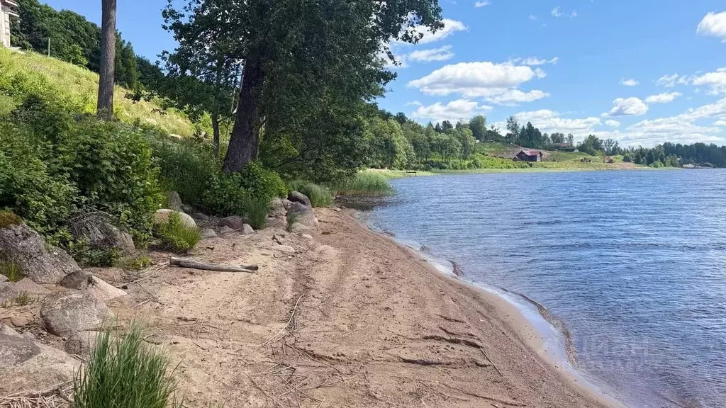 Участок в Ленинградская область, Выборгский район, Полянское с/пос, ... - Фото 2