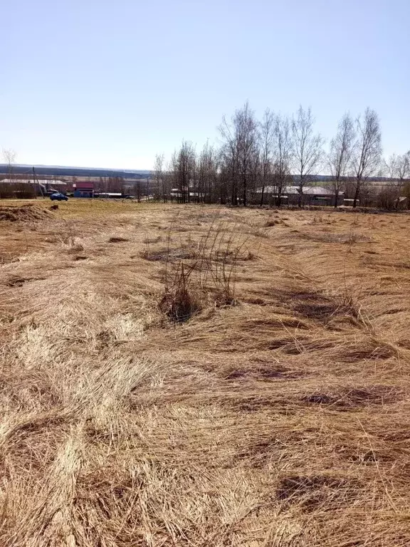 Участок в Нижегородская область, Дальнеконстантиновский муниципальный ... - Фото 1