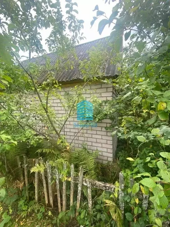 Дом в Псковская область, Великие Луки Ленок-1 СНТ,  (12 м) - Фото 2