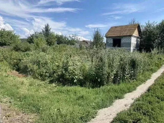 Участок в Ульяновская область, Ульяновск Залив-2 СНТ,  (6.0 сот.) - Фото 1