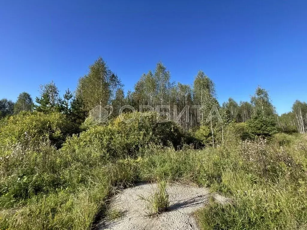 Участок в Тюменская область, Нижнетавдинский муниципальный округ, д. ... - Фото 2