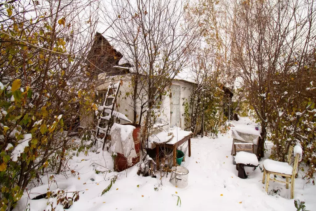 Участок в Челябинск, СНТ Трубопрокатчик-3 (6 м) - Фото 1