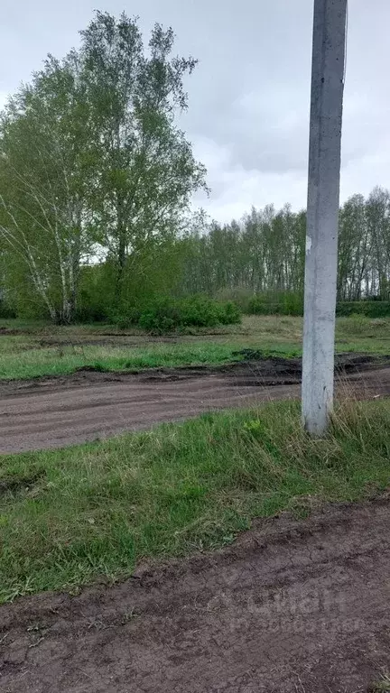 Участок в Омская область, Омский район, Пушкинское с/пос  (8.0 сот.) - Фото 1