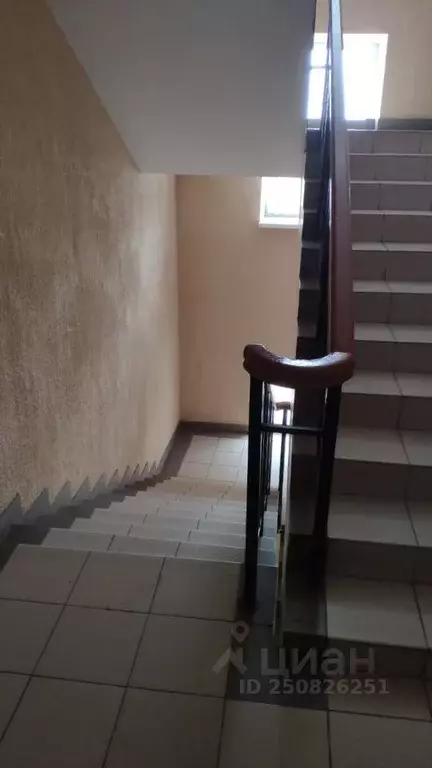 Офис в Пензенская область, Пенза ул. Карла Маркса, 5А (11 м) - Фото 1