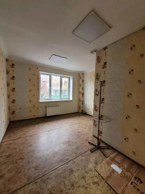 Помещение свободного назначения в Омская область, Омск Братская ул., ... - Фото 1
