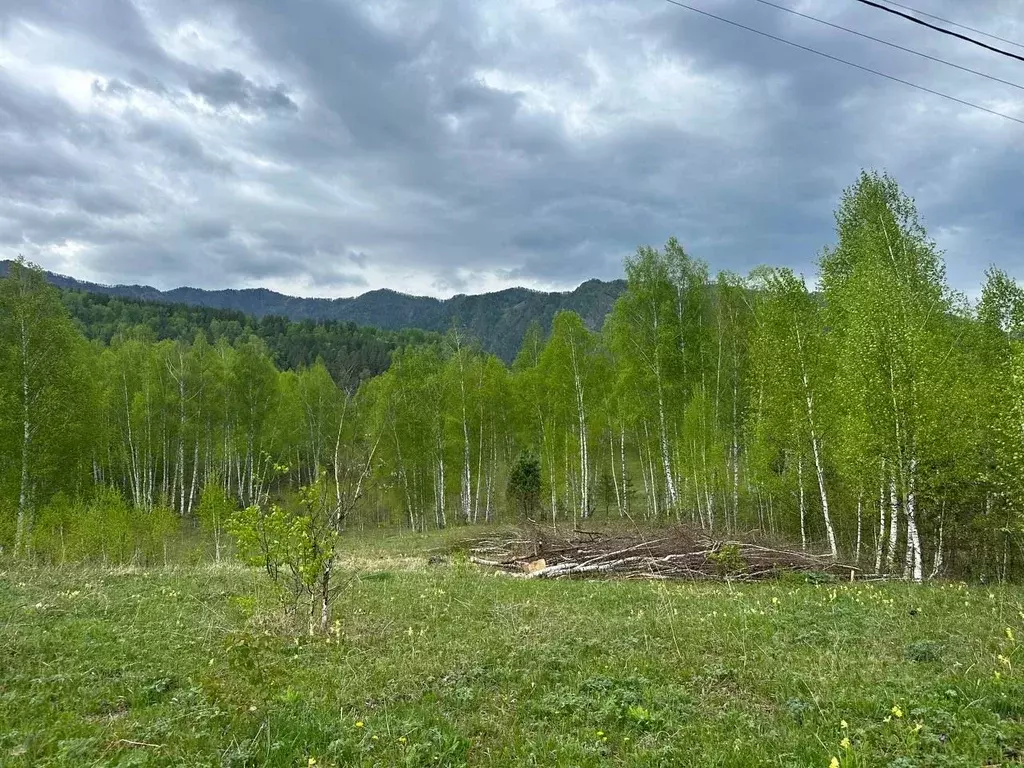 Участок в Алтай, Чемальский район, с. Чемал ул. Сосновая, 29 (9.73 ... - Фото 0