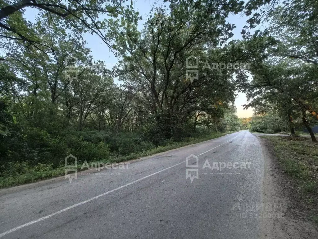 Дом в Волгоградская область, Среднеахтубинский район, Фрунзенское ... - Фото 2